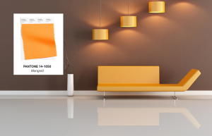 Marigold  Pantone estate 2021 - Boccia Costruzioni  