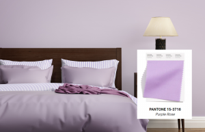 Purple Rose  Pantone estate 2021 - Boccia Costruzioni  