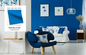 Indigo Bunting-Pantone estate 2021 - Boccia Costruzioni