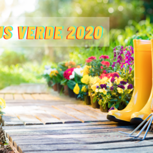 Bonus Verde 2020