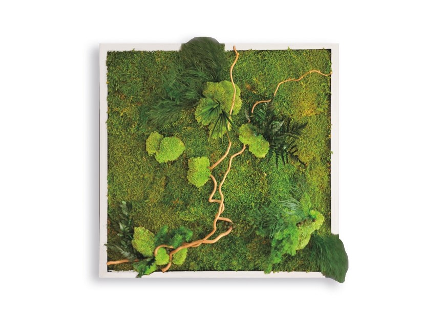 Quadro vegetale bagno
